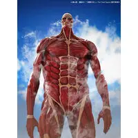 Sofubi Figure - Shingeki no Kyojin (Attack on Titan) / Colossal Titan