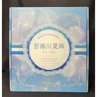 Figure - Ulrich - Bunny Costume Figure