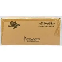 Figure - Jojo Part 7: Steel Ball Run