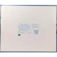 Figure - Mahou Shoujo (Raita) / Sasaki Kotone