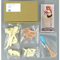 Figure - Garage Kit - Fate/Grand Order / Medb (Fate Series)