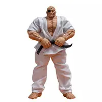 Figure - Baki series