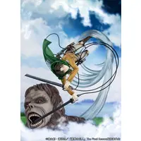 Figure - Shingeki no Kyojin (Attack on Titan) / Levi