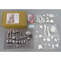 Garage Kit - Figure - Blue Archive / Takanashi Hoshino