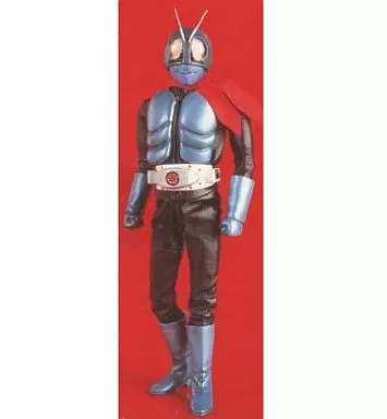 Real Action Heroes - Kamen Rider Series