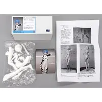 Garage Kit - Figure - Resin Cast Assembly Kit - Neon Genesis Evangelion / Ayanami Rei