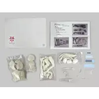 Garage Kit - Figure - Arpeggio of Blue Steel -Ars Nova-