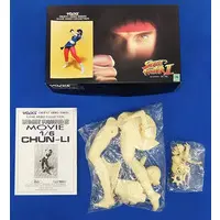 Garage Kit - Figure - Resin Cast Assembly Kit - Street Fighter / Chun-Li