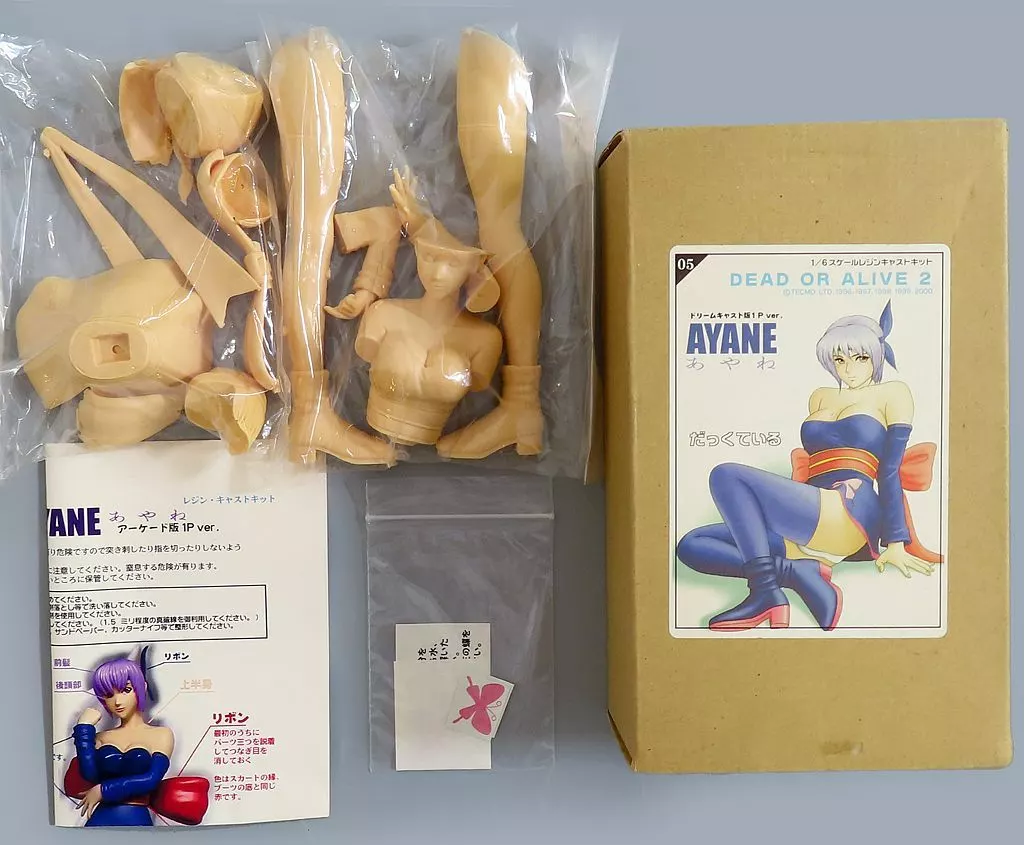 Garage Kit - Figure - Resin Cast Assembly Kit - Dead or Alive / Ayane