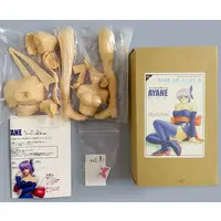 Garage Kit - Figure - Resin Cast Assembly Kit - Dead or Alive / Ayane
