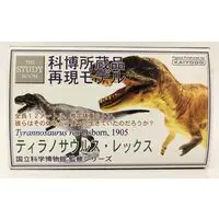 Figure - 海洋堂/ジーン (海洋堂/ジーン 科博所蔵品再現モデル ティラノサウルス レックス 初版 GK009)