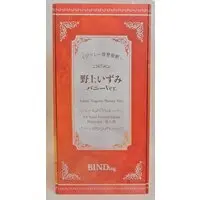 Figure - Ijirare: Fukushuu Saimin