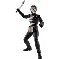 S.H.Figuarts - Kamen Rider Series