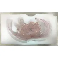 Figure - With Bonus - Demon Slayer: Kimetsu no Yaiba / Kanroji Mitsuri