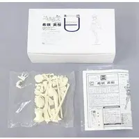 Figure - Garage Kit - Resin Cast Assembly Kit - Walkure Romanze
