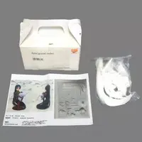 Figure - Garage Kit - Fate/Grand Order / Minamoto no Raikou (Fate series)