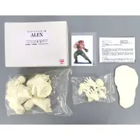 Figure - Garage Kit - Resin Cast Assembly Kit - Street Fighter