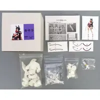 Figure - Garage Kit - Resin Cast Assembly Kit - 物造 (キサラ レジンキャストキット)