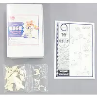 Figure - Garage Kit - Resin Cast Assembly Kit - Muv-Luv