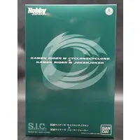 Figure - Kamen Rider Series