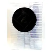 With Bonus - Figure - Demon Slayer: Kimetsu no Yaiba / Kanroji Mitsuri