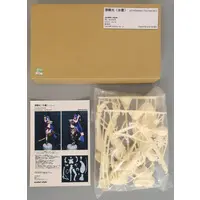 Figure - Garage Kit - Fate/Grand Order / Minamoto no Raikou (Fate series)