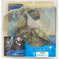Figure - Alien vs. Predator