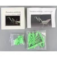 Figure - Garage Kit - MUSHIBUCHI (可動オオカマキリx2.5倍 ガレージキット)