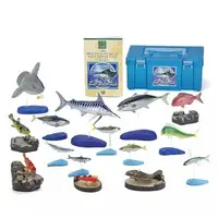 Figure - Real Figure Box