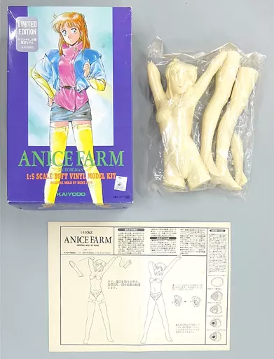 Garage Kit - Resin Cast Assembly Kit - Chouon Senshi Borgman (Sonic Soldier Borgman) / Anice Farm