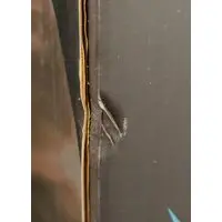 G.E.M. - Digimon Adventure / Omegamon