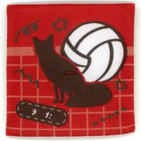 Lookup - Haikyu!! / Kita Shinsuke