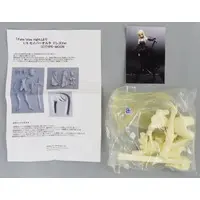 Figure - Garage Kit - Fate/stay night / Artoria Pendragon Alter (Saber)