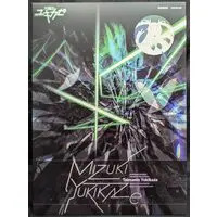 Figure - Taimanin series / Mizuki Yukikaze