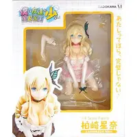 Figure - Haganai / Kashiwazaki Sena