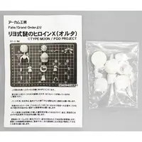 Figure - Garage Kit - Fate/Grand Order / Mysterious Heroine X