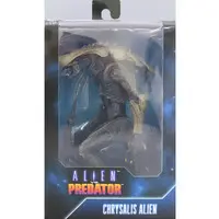 Figure - Alien vs. Predator