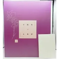 Figure - The Girl's Secret Delusion