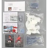 Figure - Garage Kit - Resin Cast Assembly Kit - NIKKE / Rapi & Red Hood