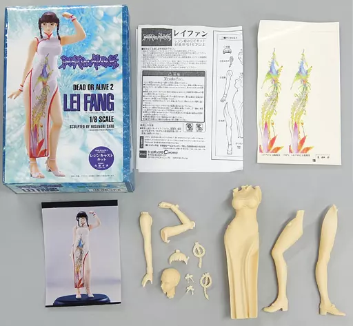 Garage Kit - Resin Cast Assembly Kit - Daikokuya Koubou / Leifang (Dead or Alive)