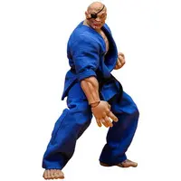 Figure - Baki series