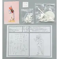 Figure - Garage Kit - Fate/Grand Order / Frankenstein (Fate series)