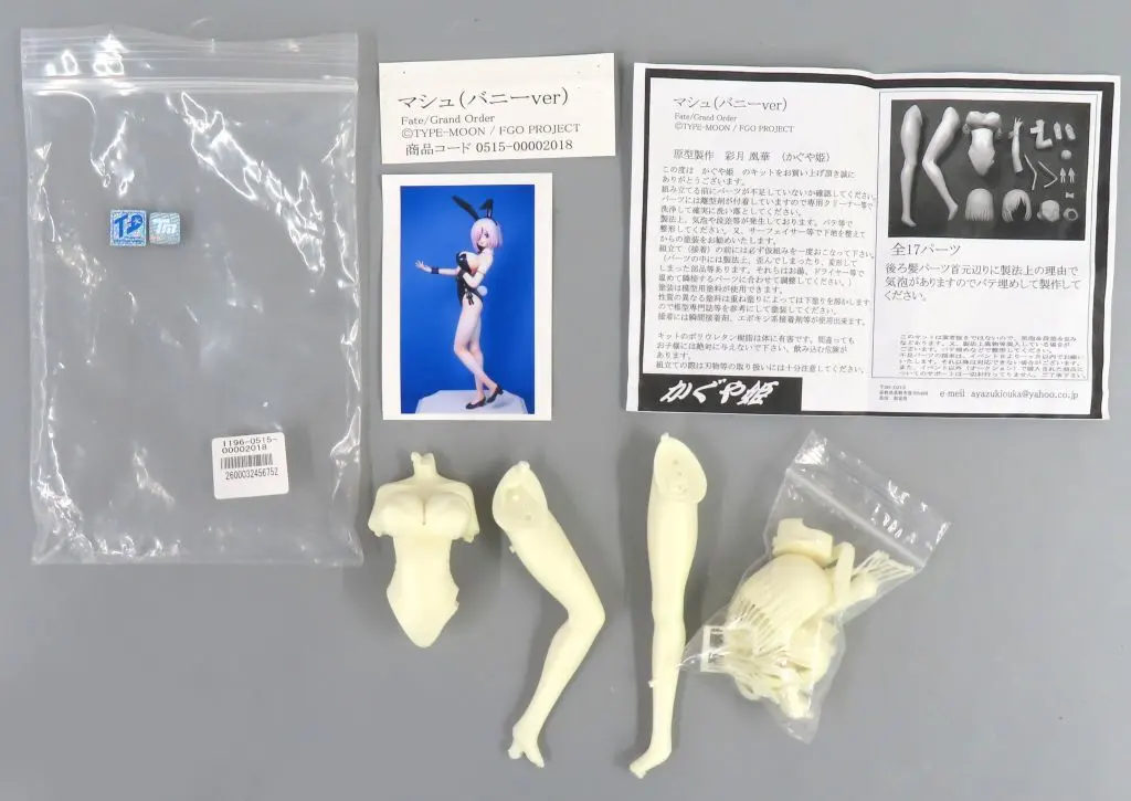 Figure - Garage Kit - Fate/Grand Order / Mash Kyrielight