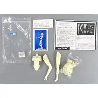Figure - Garage Kit - Fate/Grand Order / Mash Kyrielight