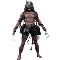 Figure - Marvel / Wolverine