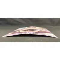 Binding Creator's Opinion - Bunny Costume Figure