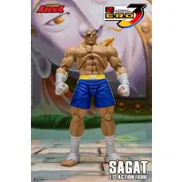 Figure - Street Fighter / Sagat