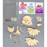 Figure - Garage Kit - Mobile Suit Gundam SEED / Lacus Clyne