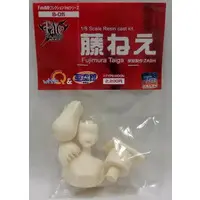 Figure - Resin Cast Assembly Kit - Garage Kit - Fate/stay night