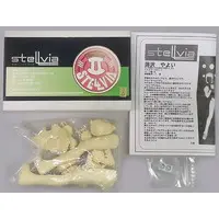Figure - Garage Kit - Resin Cast Assembly Kit - Uchuu no Stellvia / Fujisawa Yayoi